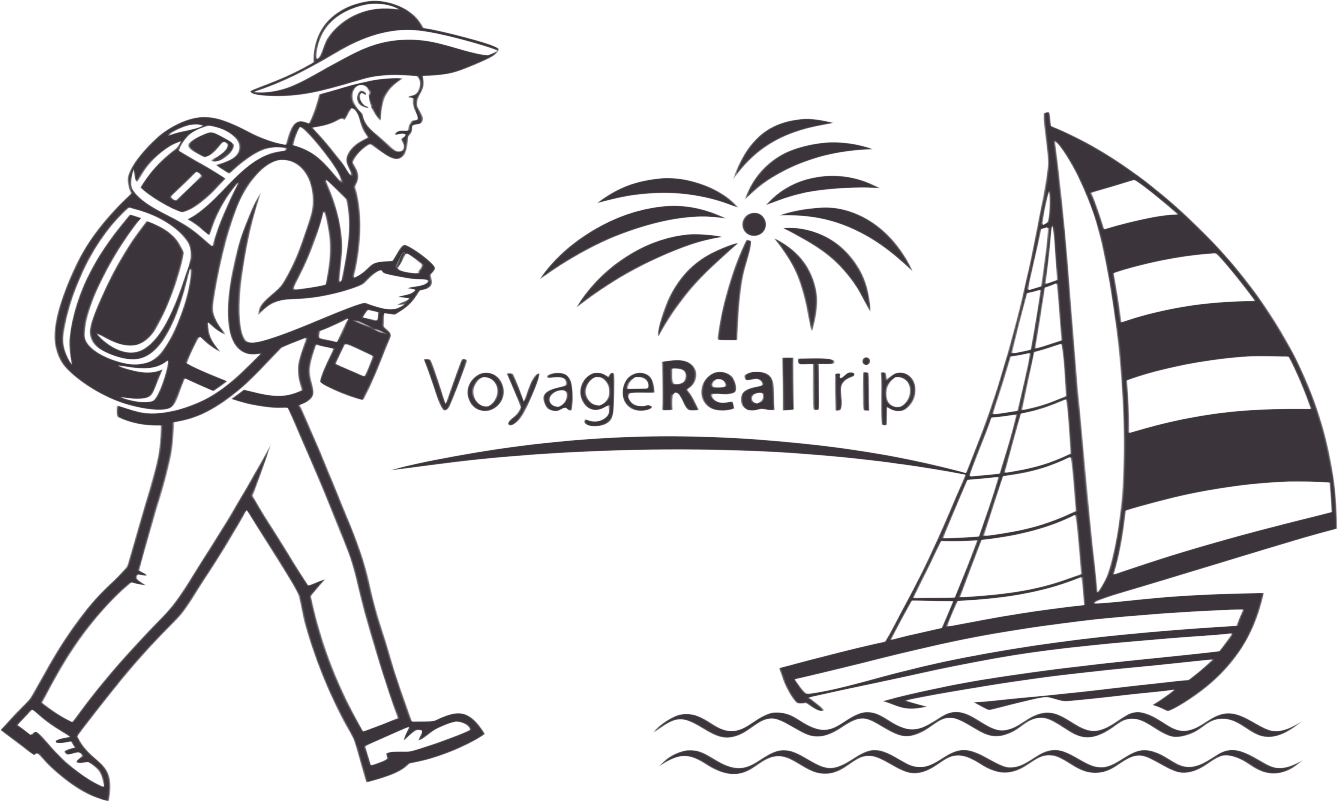 voyagerealtrip.com